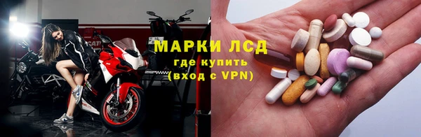 шишки Беломорск