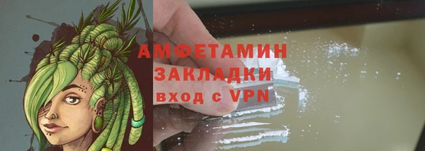 шишки Беломорск