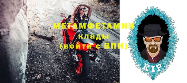 шишки Беломорск