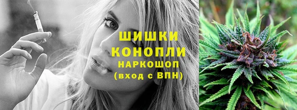 mdpv Белокуриха