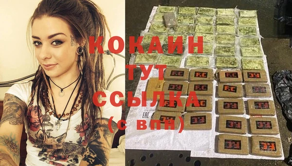 шишки Беломорск