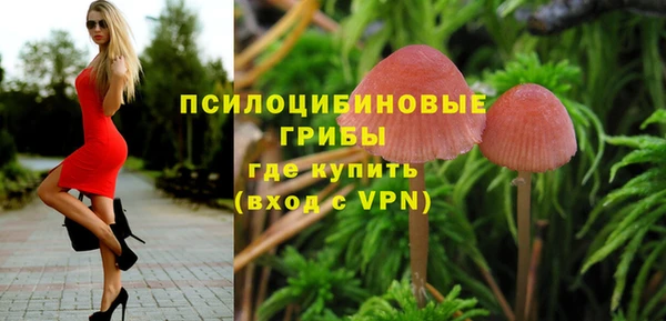 MDMA Premium VHQ Снежногорск